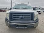 Lot #3304549454 2012 FORD F150