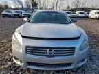 Lot #3310579068 2010 NISSAN MAXIMA S