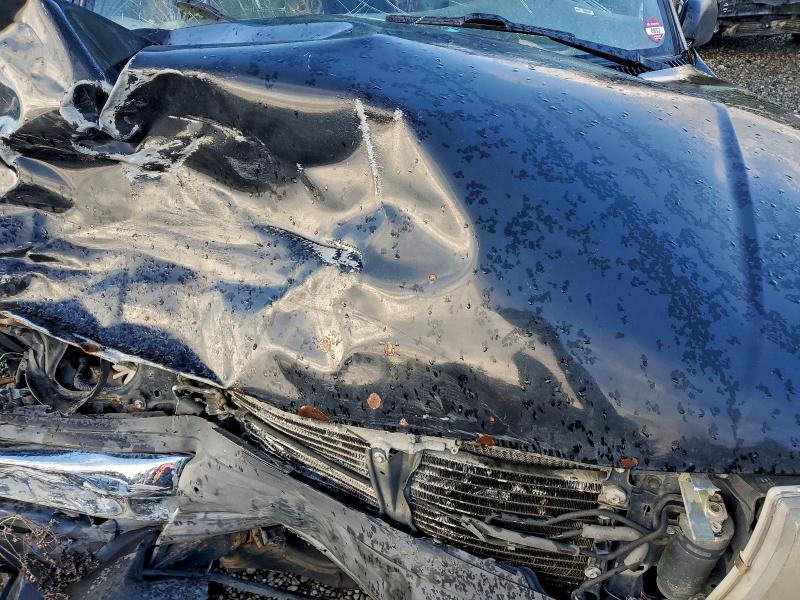 1999 TOYOTA TACOMA #3317738081