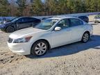Lot #3311554263 2008 HONDA ACCORD EX