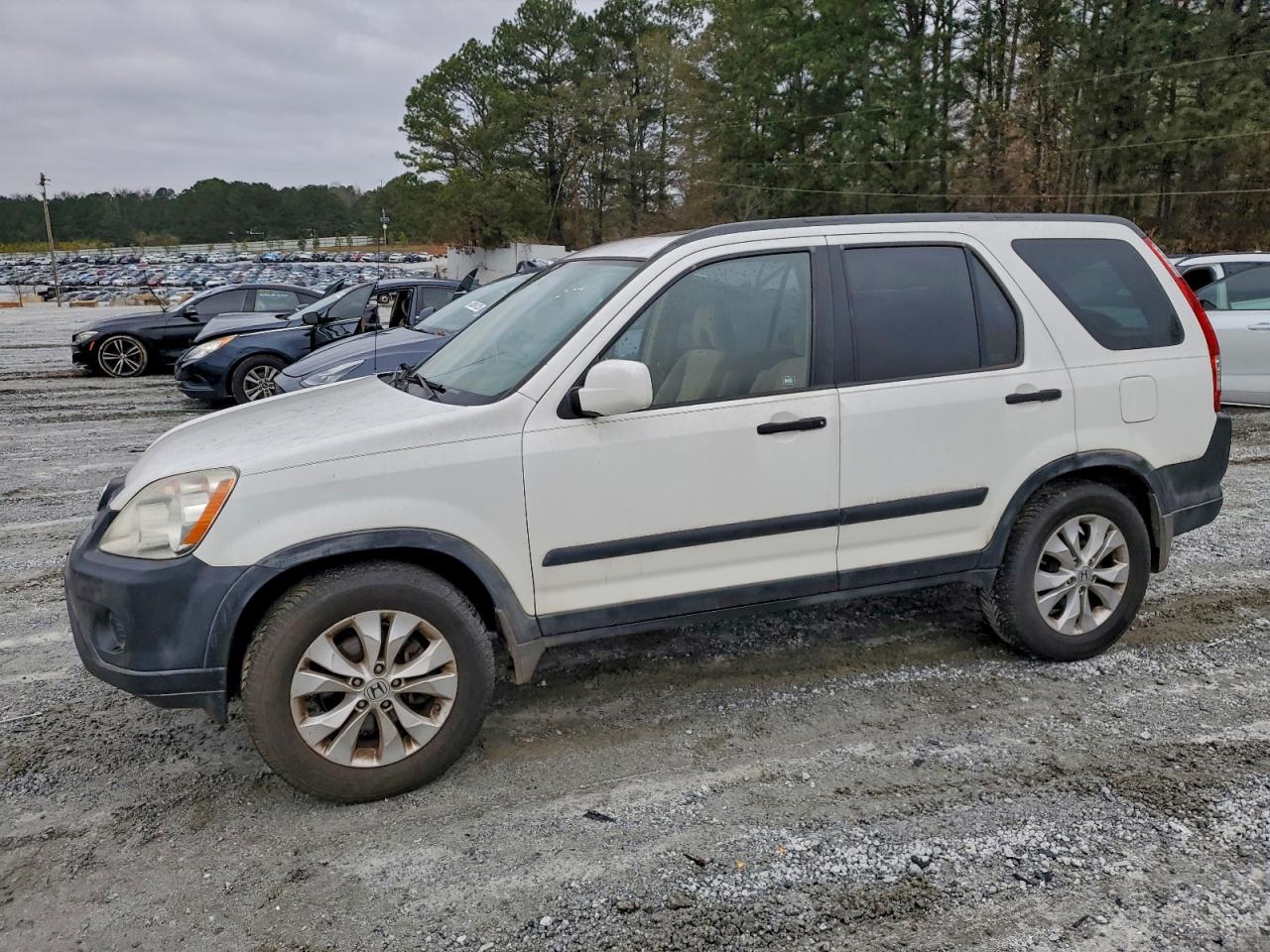 Lot #3302738027 2006 HONDA CR-V EX