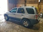 Lot #3304646941 2006 FORD ESCAPE XLT