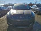 Lot #3301713397 2015 FORD ESCAPE TIT