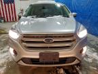 Lot #3303789423 2017 FORD ESCAPE SE