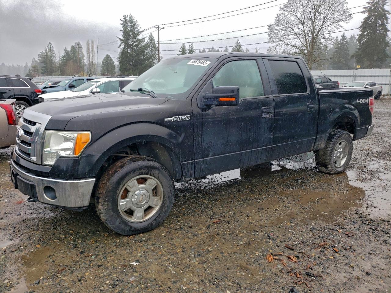 Lot #3315919096 2010 FORD F150 SUPER