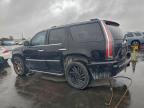 Lot #3316940088 2010 CADILLAC ESCALADE L