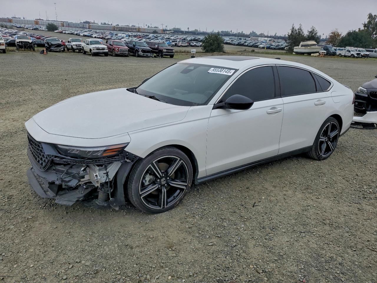 Lot #3305551062 2024 HONDA ACCORD HYB