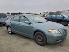 Lot #3310572058 2007 TOYOTA CAMRY CE