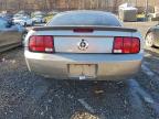 Lot #3306393531 2008 FORD MUSTANG