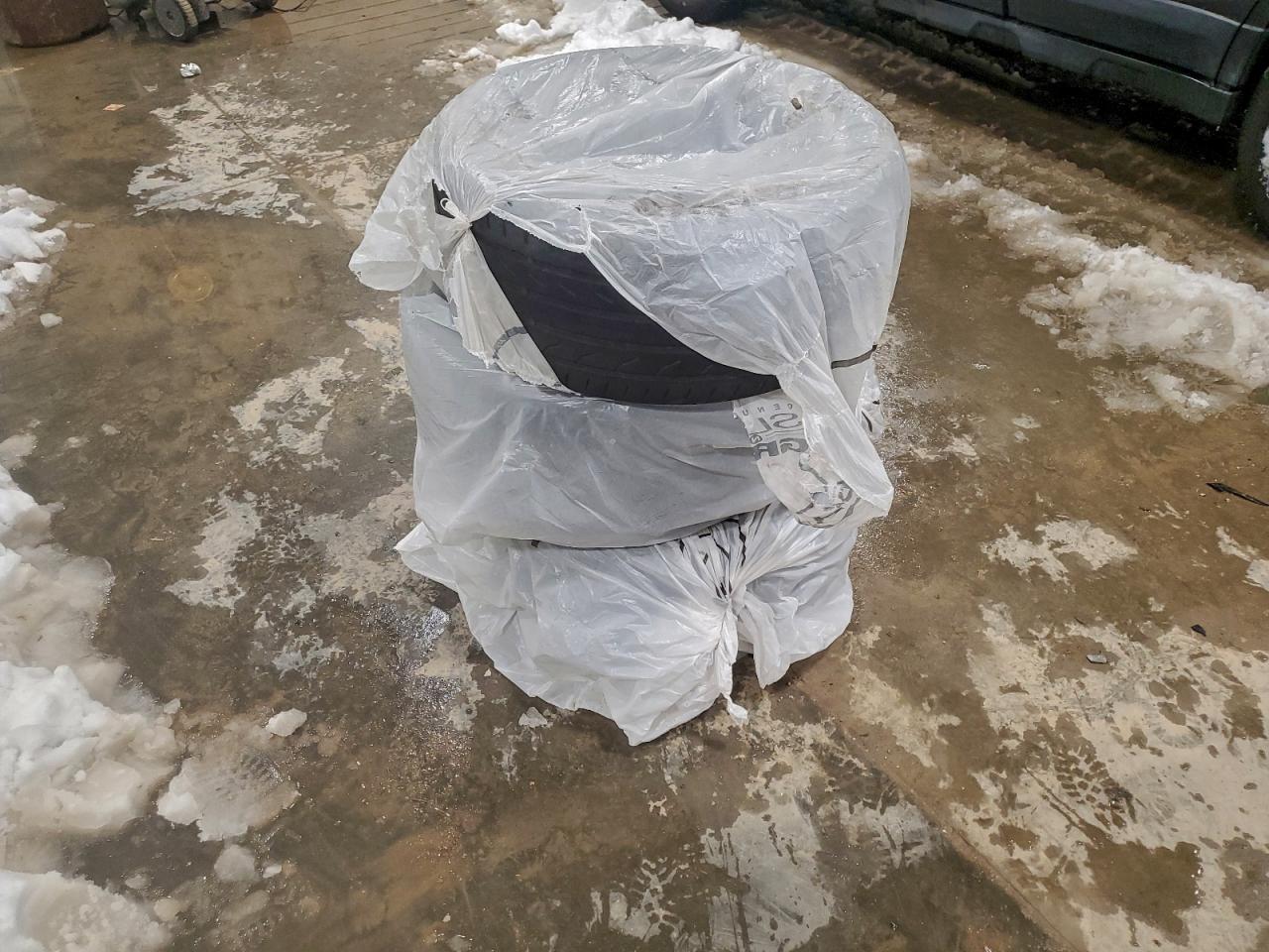 Lot #3316006847 2013 FORD FOCUS SE