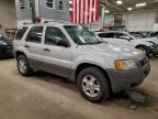 Lot #3318883933 2003 FORD ESCAPE XLT