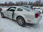 Lot #3304523526 2009 FORD MUSTANG