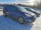 Lot #3308304167 2015 FORD ESCAPE SE