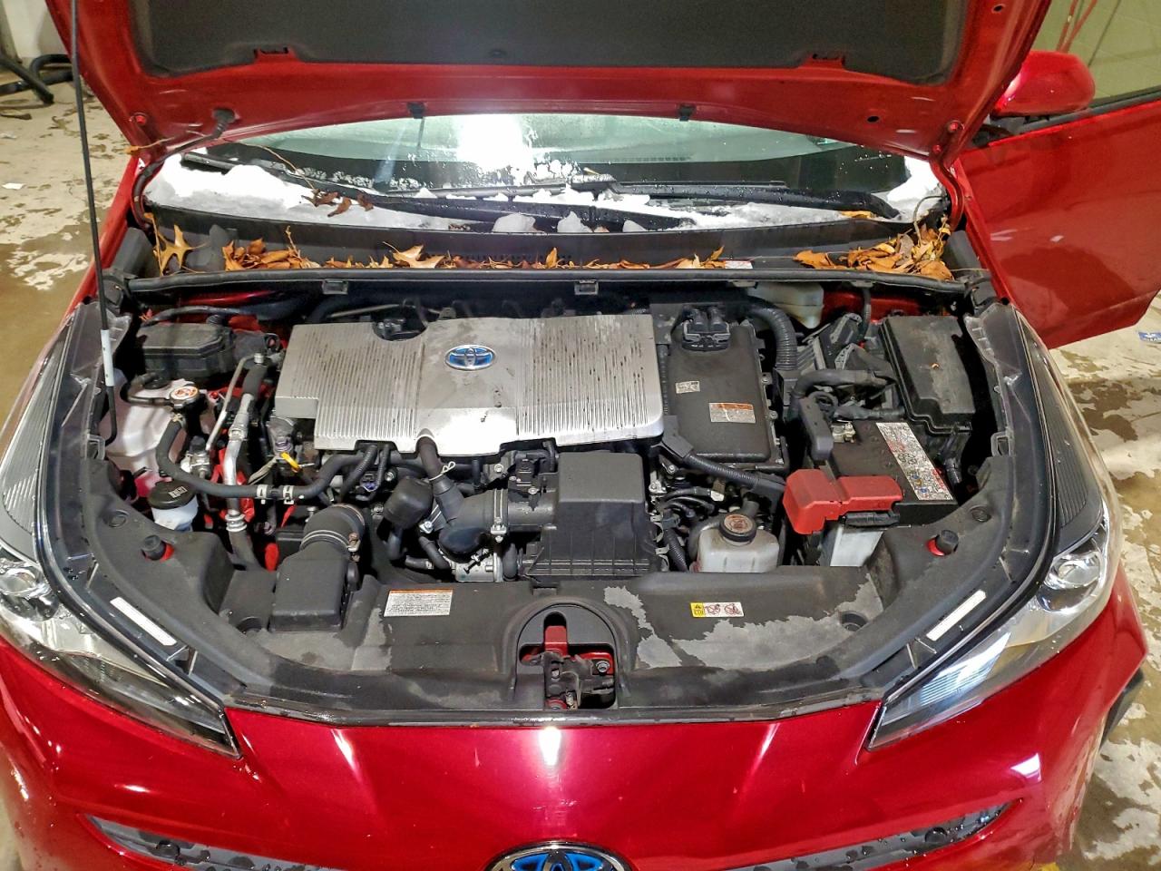 TOYOTA PRIUS NIGHT SHADE