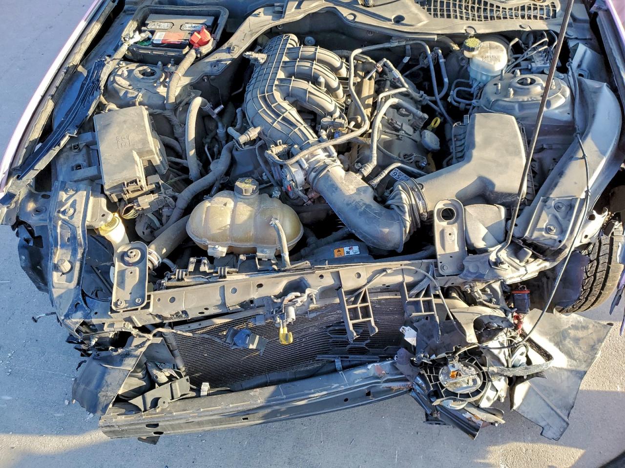 Lot #3316816437 2016 FORD MUSTANG