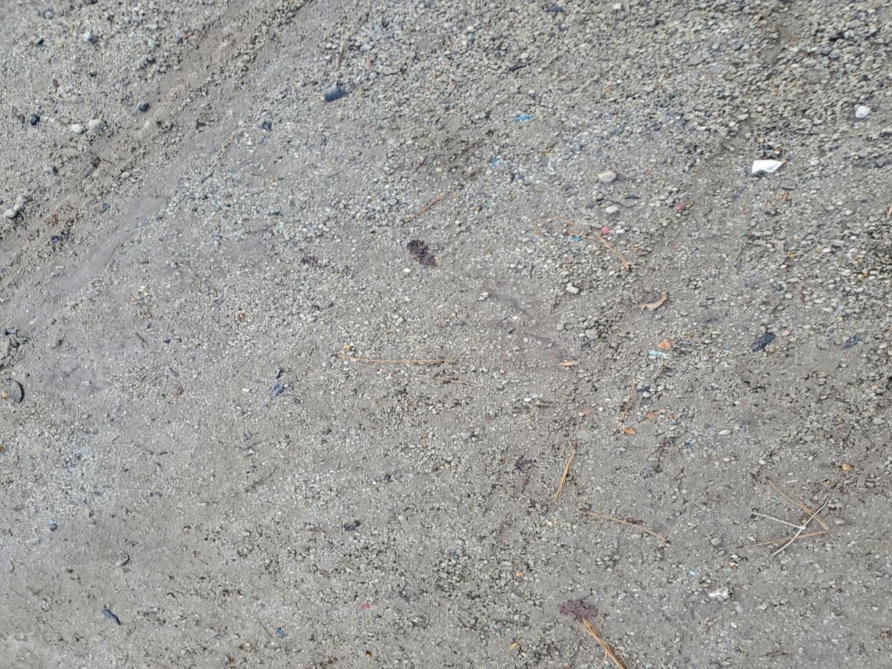 Lot #3318960919 2023 KIA SOUL LX