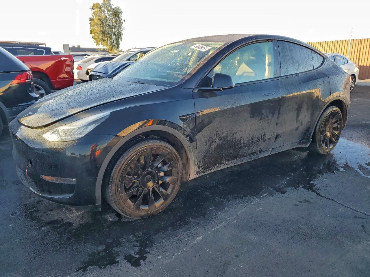 Lot #3318116369 2022 TESLA MODEL Y