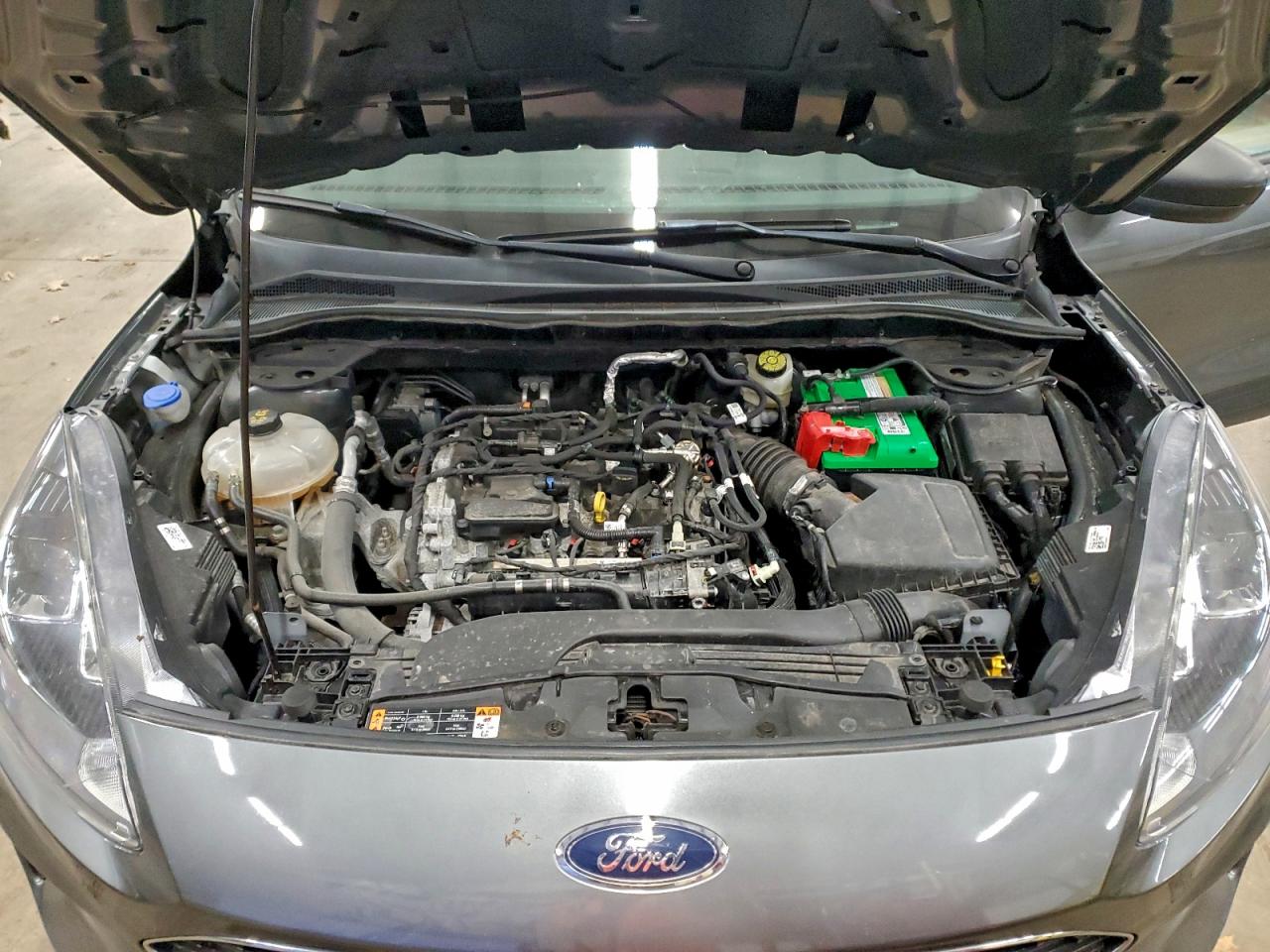 Lot #3315691717 2022 FORD ESCAPE SE