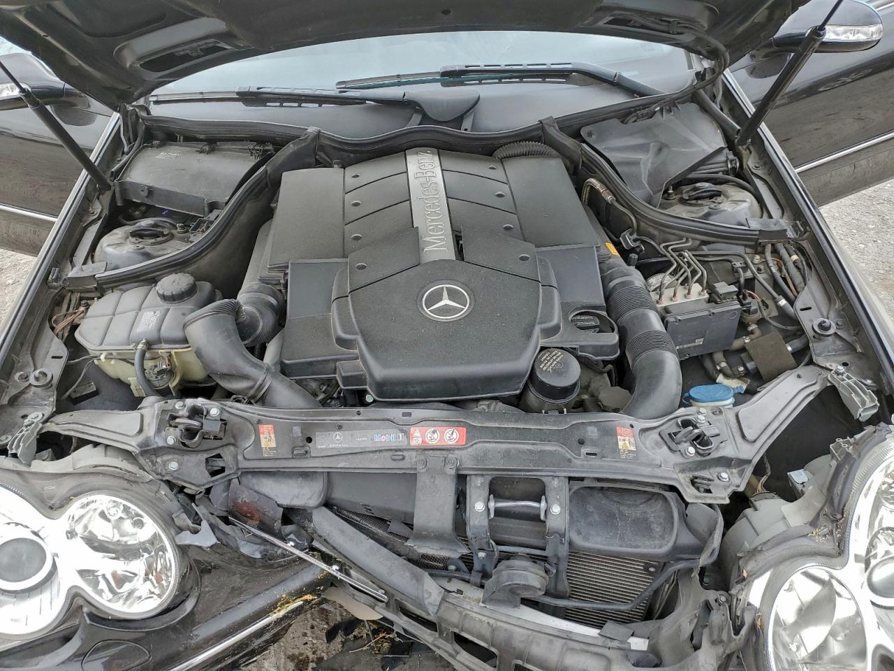Lot #3317069996 2005 MERCEDES-BENZ CLK 500