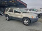 Lot #3316821456 2004 FORD ESCAPE XLT