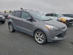 Lot #3310364014 2013 FORD ESCAPE TIT