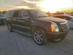 Lot #3312463645 2014 CADILLAC ESCALADE E