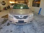 Lot #3304587468 2007 TOYOTA CAMRY HYBR
