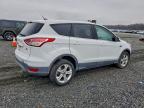 Lot #3308300207 2015 FORD ESCAPE SE