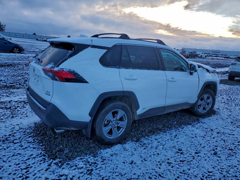 2024 TOYOTA RAV4 XLE #3303792421