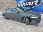 Lot #3305313309 2024 HYUNDAI ELANTRA LI