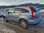 Lot #3304602506 2011 HONDA CR-V EXL