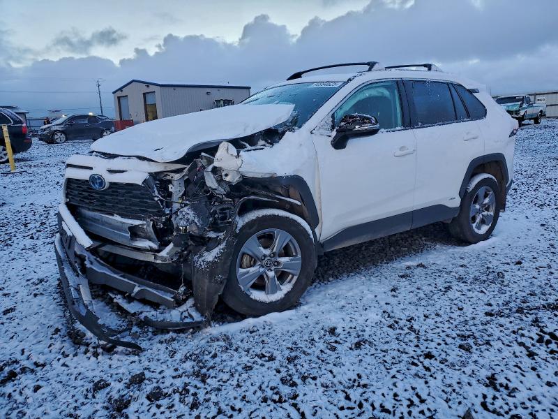 2024 TOYOTA RAV4 XLE #3303792421