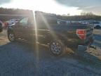 Lot #3304634960 2013 FORD F150 SUPER