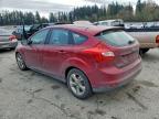 Lot #3302664009 2014 FORD FOCUS SE