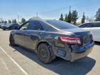 Lot #3319261734 2010 TOYOTA CAMRY BASE