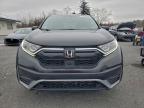 Lot #3305345323 2019 HONDA CR-V EX