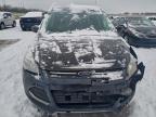 Lot #3303732435 2016 FORD ESCAPE SE