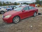 Lot #3317969912 2009 LEXUS ES 350