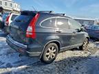 Lot #3303747446 2007 HONDA CR-V EXL