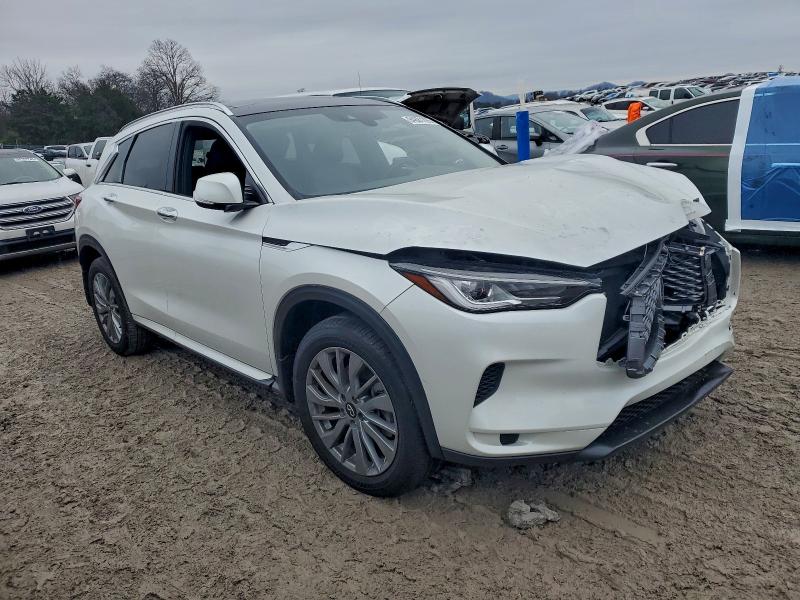 2024 INFINITI QX50 LUXE #3316945133