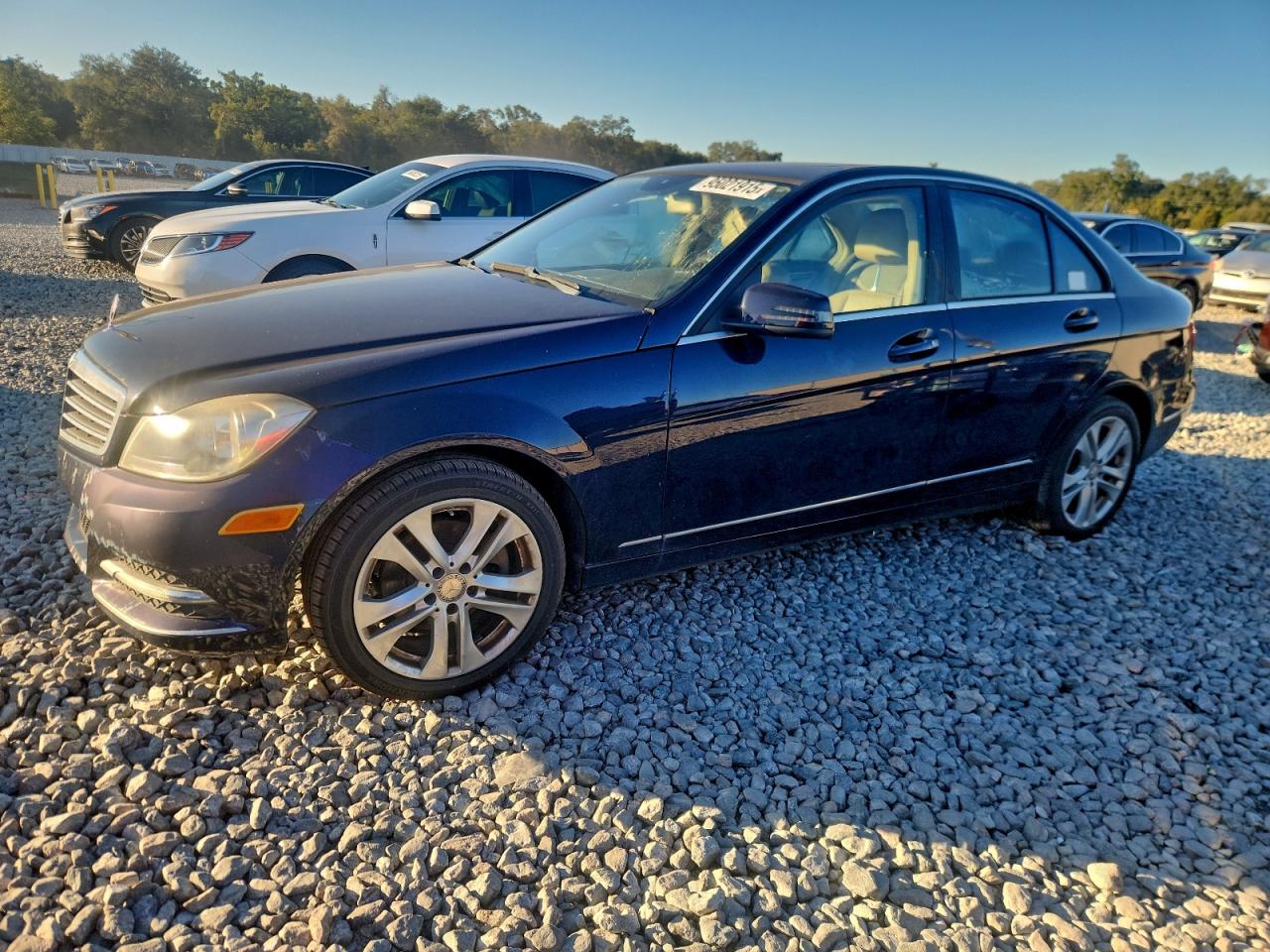MERCEDES-BENZ C-CLASS 250