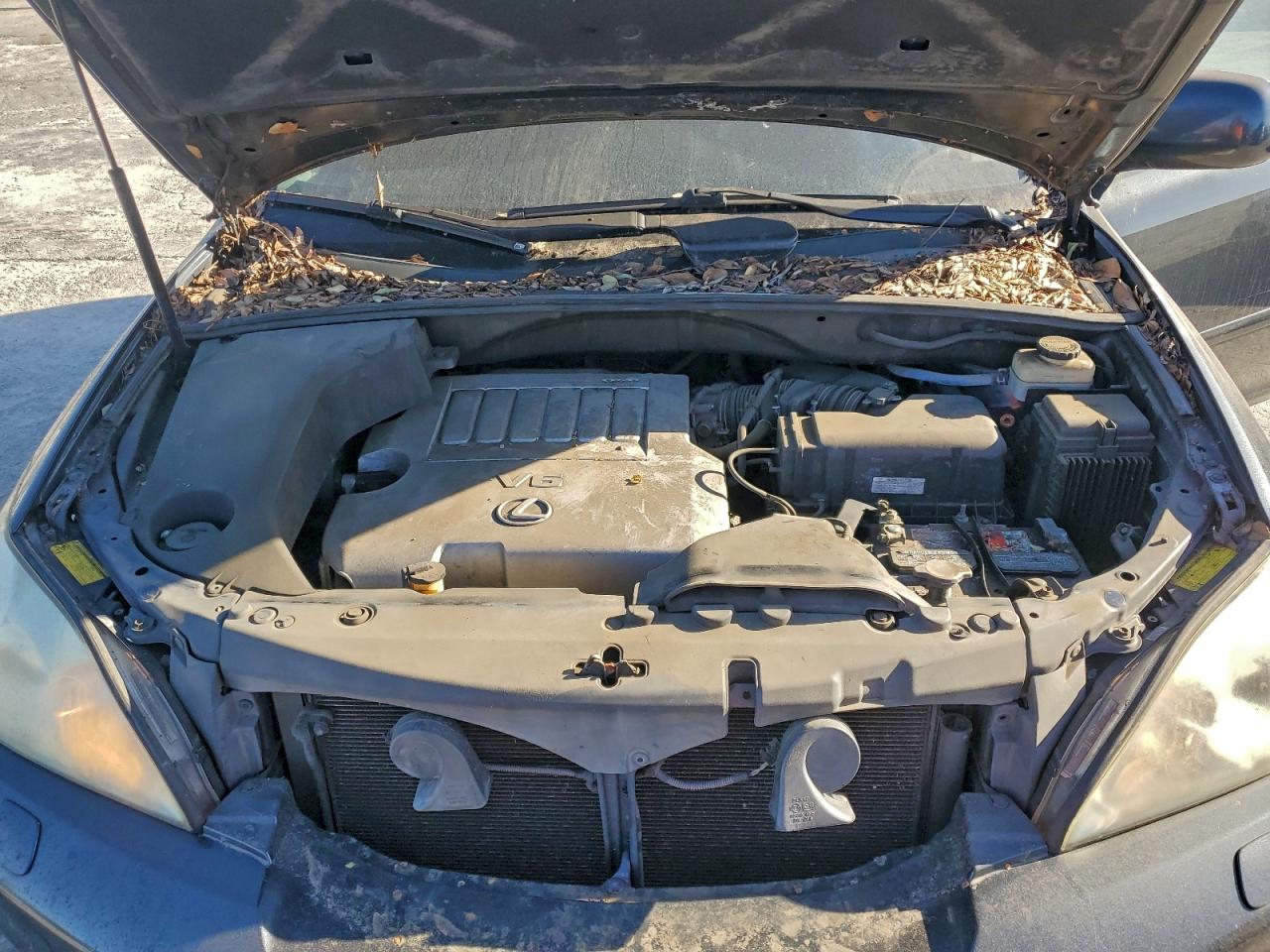 Lot #3302891888 2008 LEXUS RX 350