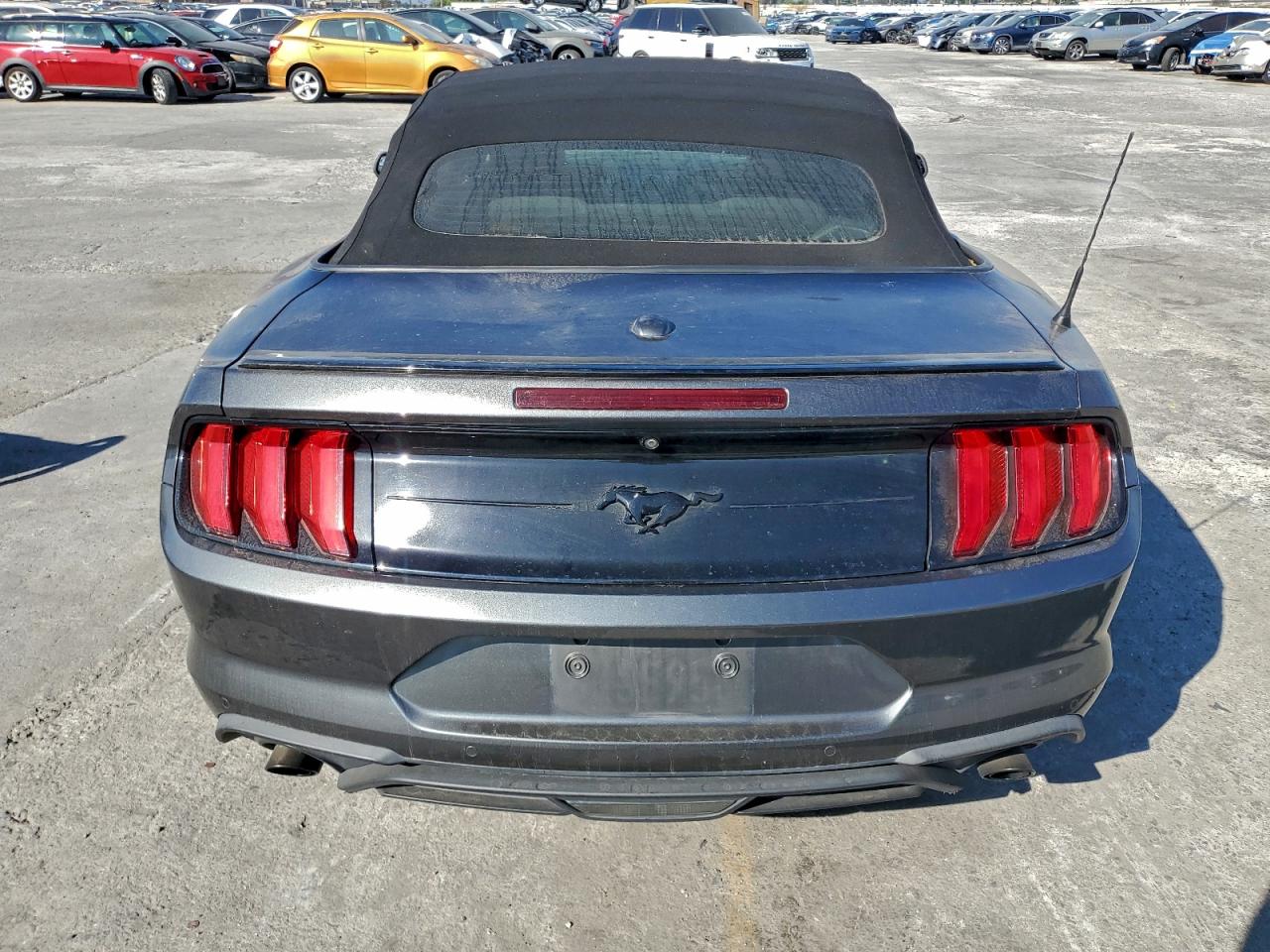 Lot #3309605616 2019 FORD MUSTANG