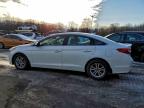 Lot #3305423465 2016 HYUNDAI SONATA SE