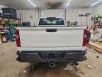 Lot #3317883918 2025 CHEVROLET SILVERADO