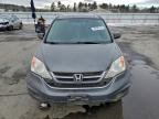 Lot #3304644947 2010 HONDA CR-V EX