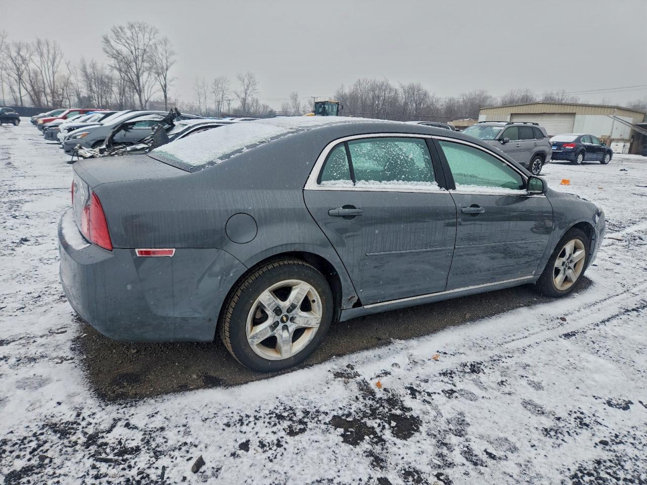 Lot #3311461317 2009 CHEVROLET MALIBU 1LT