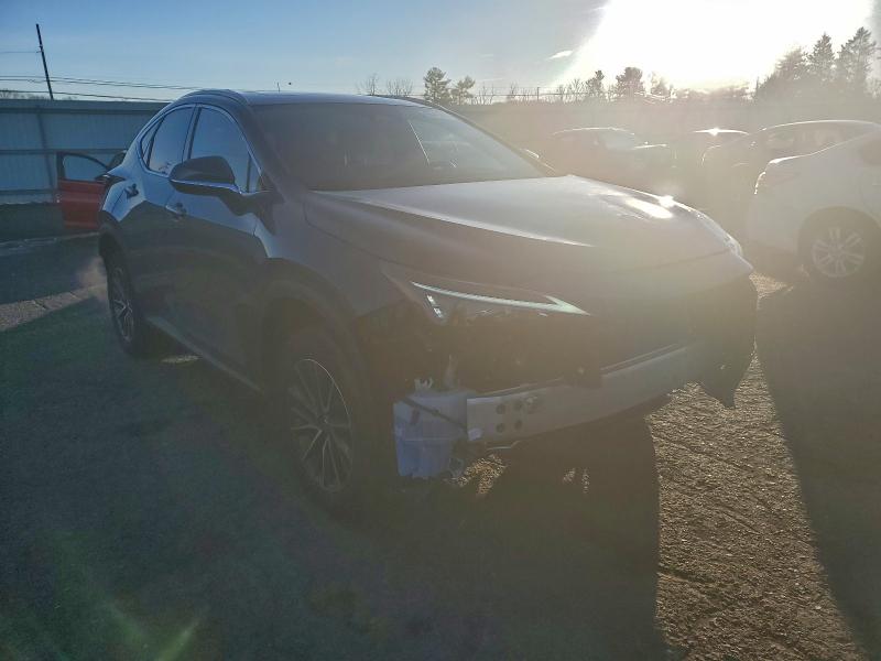 2025 LEXUS NX 350 BAS #3303726416