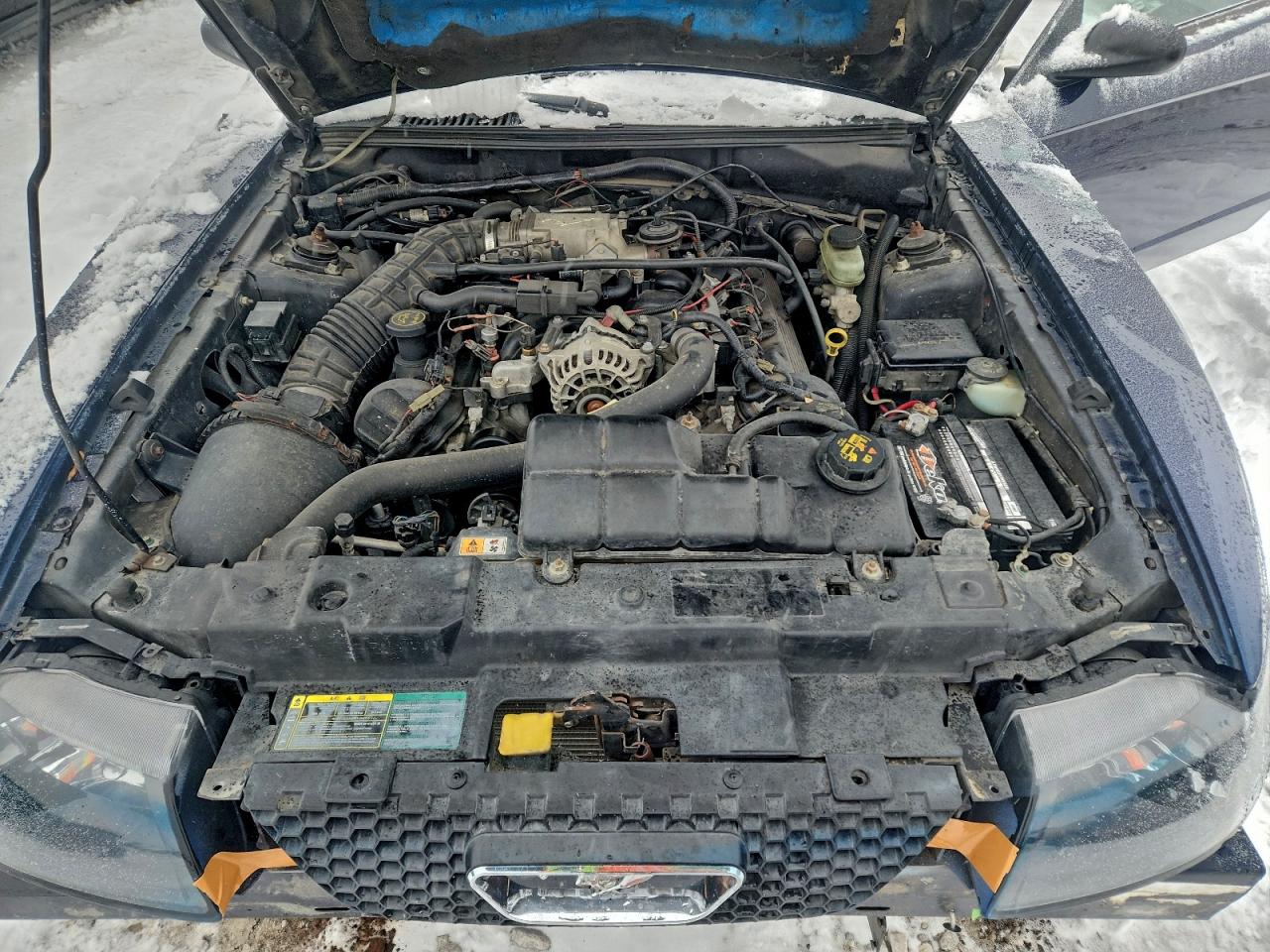 Lot #3304645944 2003 FORD MUSTANG GT