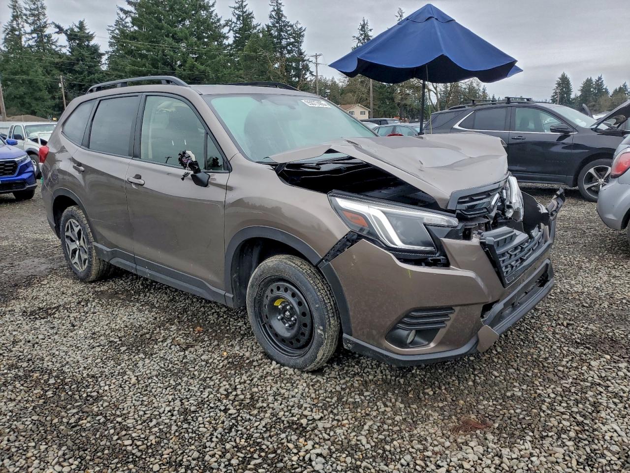 Lot #3316081274 2023 SUBARU FORESTER P